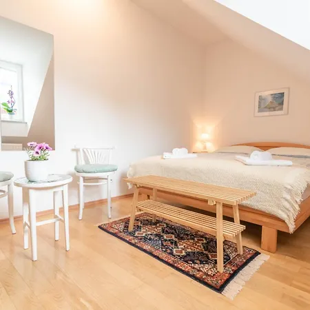 Trubarjeva 12 - The View Apartman