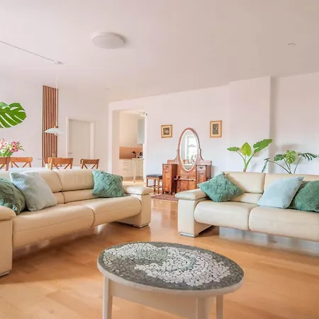 Apartman Trubarjeva 12 - The View *