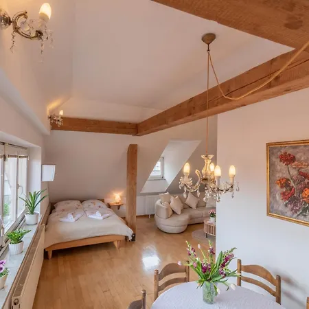 Trubarjeva 12 - The View