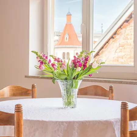 Trubarjeva 12 - The View Apartment *