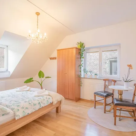 Trubarjeva 12 - The View Apartment