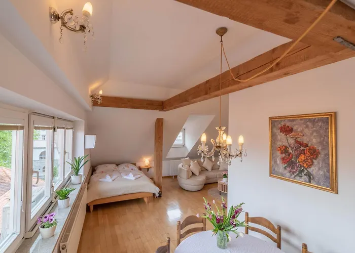 Trubarjeva 12 - The View