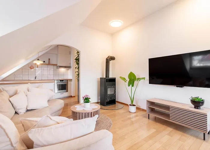 Trubarjeva 12 - The View *