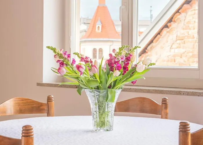 Trubarjeva 12 - The View Apartament *